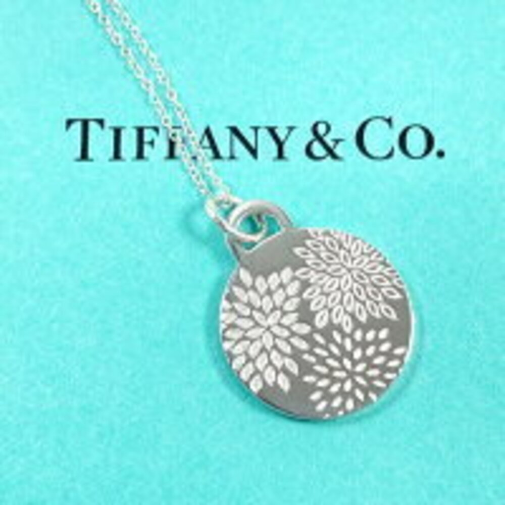 Tiffany Co Go Spray Necklace Sterling Silver View 2